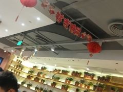 大堂-翠華餐廳(浦东机场T1店)