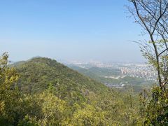 -杭州半山国家森林公园