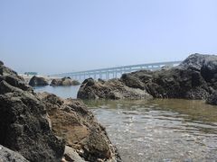-星海湾跨海大桥