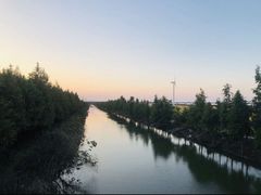 -上海长兴岛郊野公园