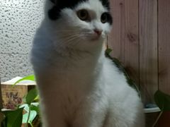 -么么咖啡(燕郊店)