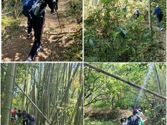 -鸡枕山