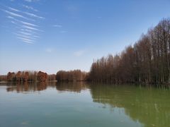 -上海海湾国家森林公园