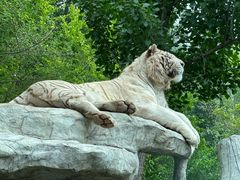 -北京野生动物园