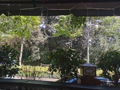 -随意茶庄·地道杭帮农家菜(梅家坞店)