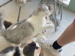 -怪兽屋·羊驼·猫咖·狗咖(俊华广场店)