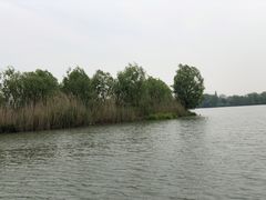 -长兴太湖图影湿地文化园