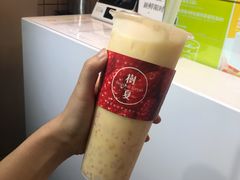 -树夏(建设路店)