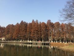-解放公园