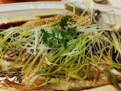 -燕喜堂·中华老字号(大明湖店)