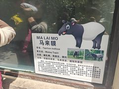 -合肥野生动物园
