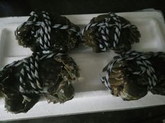 -喜洋洋蟹庄(阳澄湖店)