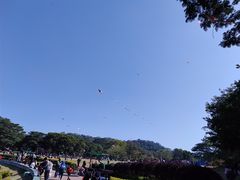 -东莞植物园