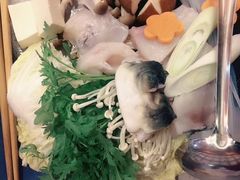 -天正河鲀·河豚亭(大连店)