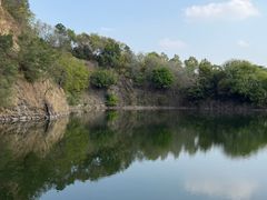 -王借岗森林公园