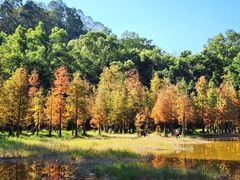-番禺大夫山森林公园