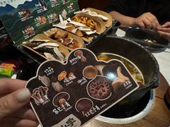 臻鲜见手菌汤锅（不含肉）-芸山季·云南山珍菌火锅(人民广场来福士店)