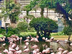 -九龙公园