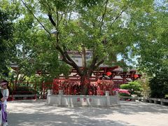 -华清宫景区