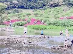 -广州市石门国家森林公园