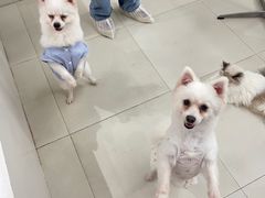 -怪兽屋·羊驼·猫咖·狗咖(俊华广场店)