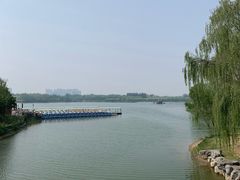 -大兴滨河森林公园