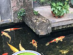 景观位-馨园villa融合菜(东山店)