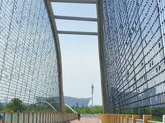 -白鹭湾湿地公园