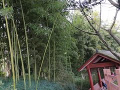 -大渡口区义渡公园