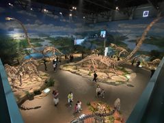 -自贡恐龙博物馆