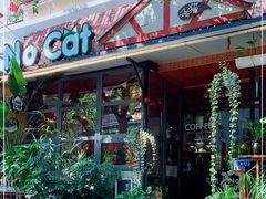 门面-No Cat 手碟