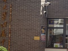 -天津大学附属中学