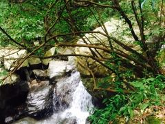 -藏龙百瀑风景区