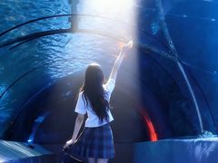 -太平洋海底世界