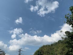 -原山国家森林公园