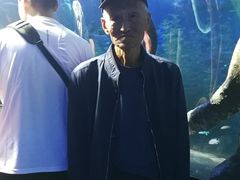 -沈阳海洋探索中心