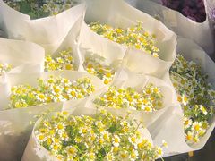 -循礼门鲜花花市(武汉循礼门店)