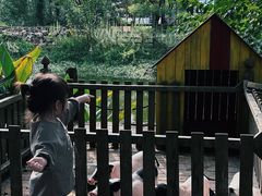 -田园东方蜜桃村的田野营地