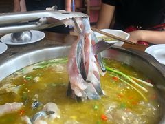 -鲜椒鱼·雅安地标性美食