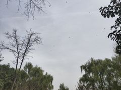 -西安浐灞国家湿地公园