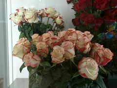 -Blueglass酸奶(财富购物中心店)