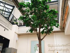 -大树餐厅(红旗街万达店)