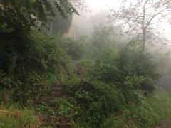 -轿顶山景区