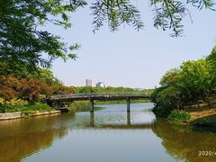 -尚贤河湿地