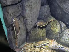 -常州海昌海洋探索馆