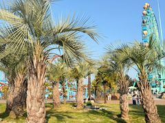 -南京银杏湖乐园