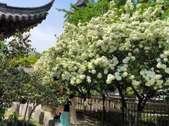 -常熟方塔园