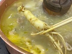 -朴小妹人参鸡汤火锅(长白山万达店)