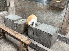 -吴财记面家(大同路店)