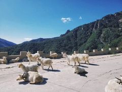 -白草畔自然风景区